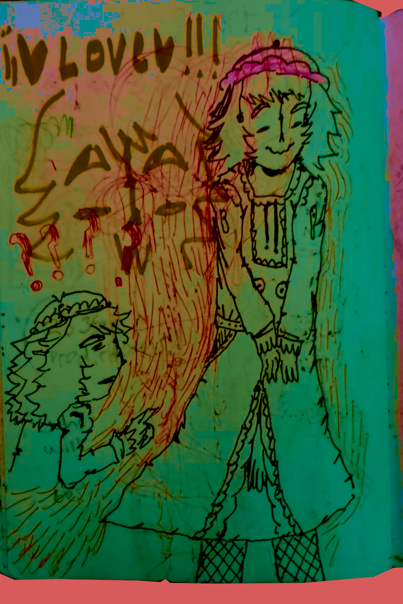 Image 4